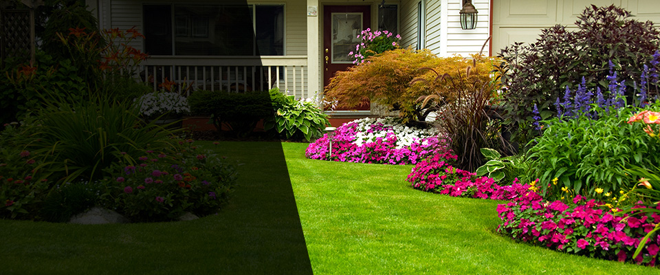 Winnetka Landscapers