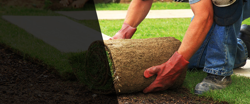 Winnetka Landscapers